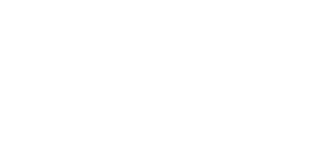 VAR 4