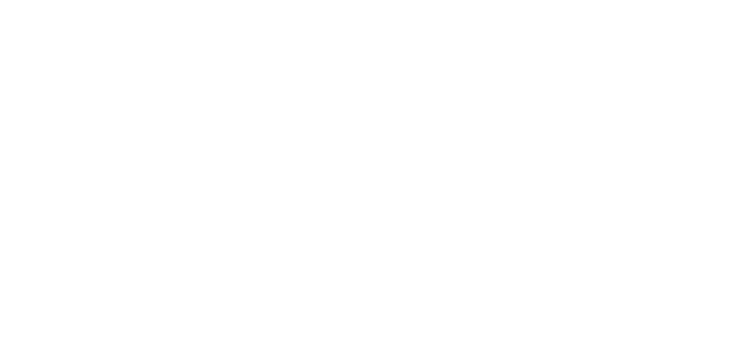 VAR 4